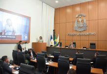 Legislativo de Palmas aprova pacote de projetos voltados ao bem-estar social e gestão pública